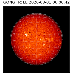 gong - 2026-08-01T06:00:42
