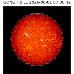 gong - 2026-08-01T07:00:42