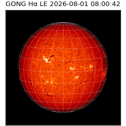 gong - 2026-08-01T08:00:42