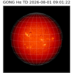 gong - 2026-08-01T09:01:22
