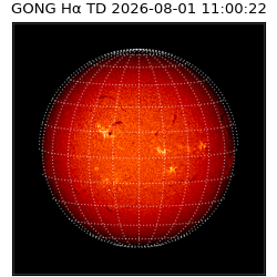 gong - 2026-08-01T11:00:22