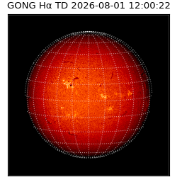 gong - 2026-08-01T12:00:22