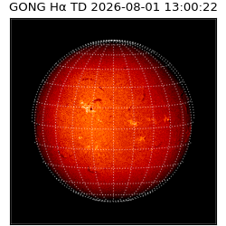 gong - 2026-08-01T13:00:22
