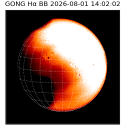 gong - 2026-08-01T14:02:02