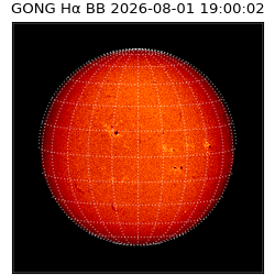 gong - 2026-08-01T19:00:02