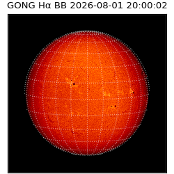 gong - 2026-08-01T20:00:02