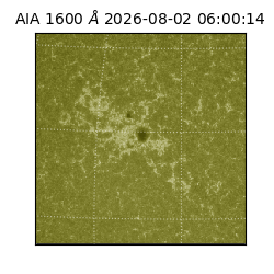 saia - 2026-08-02T06:00:14.122000