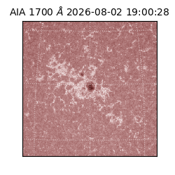 saia - 2026-08-02T19:00:28.716000