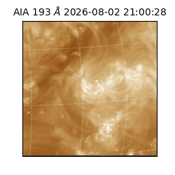 saia - 2026-08-02T21:00:28.842000