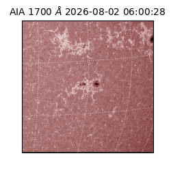 saia - 2026-08-02T06:00:28.716000