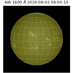 saia - 2026-08-02T08:00:14.129000
