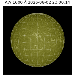 saia - 2026-08-02T23:00:14.130000