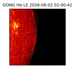 gong - 2026-08-02T02:00:42