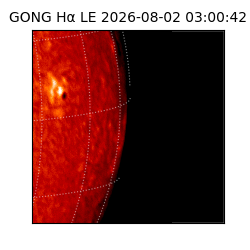 gong - 2026-08-02T03:00:42