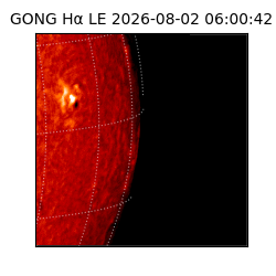gong - 2026-08-02T06:00:42