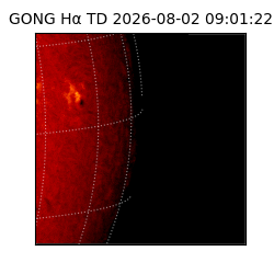 gong - 2026-08-02T09:01:22