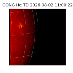 gong - 2026-08-02T11:00:22