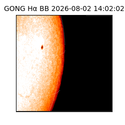 gong - 2026-08-02T14:02:02