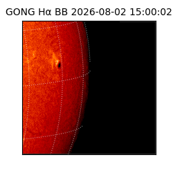 gong - 2026-08-02T15:00:02