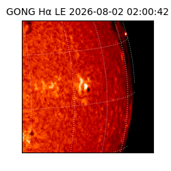 gong - 2026-08-02T02:00:42