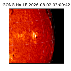 gong - 2026-08-02T03:00:42