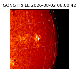 gong - 2026-08-02T06:00:42