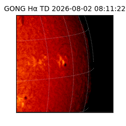 gong - 2026-08-02T08:11:22
