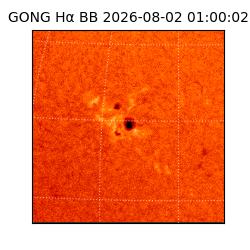 gong - 2026-08-02T01:00:02