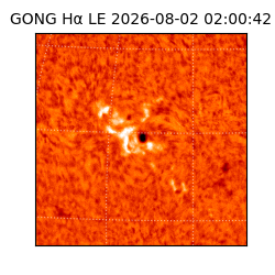gong - 2026-08-02T02:00:42