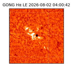 gong - 2026-08-02T04:00:42