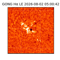 gong - 2026-08-02T05:00:42