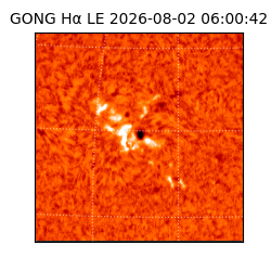 gong - 2026-08-02T06:00:42