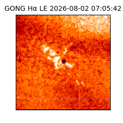 gong - 2026-08-02T07:05:42
