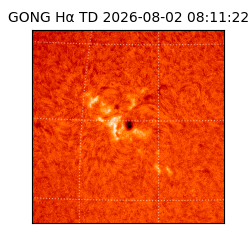 gong - 2026-08-02T08:11:22