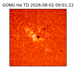 gong - 2026-08-02T09:01:22