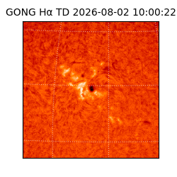 gong - 2026-08-02T10:00:22