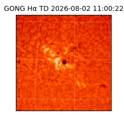 gong - 2026-08-02T11:00:22