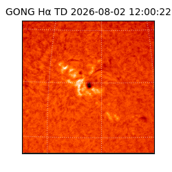 gong - 2026-08-02T12:00:22