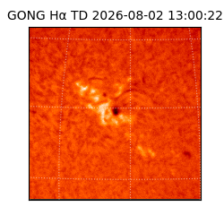 gong - 2026-08-02T13:00:22