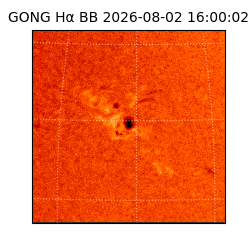 gong - 2026-08-02T16:00:02