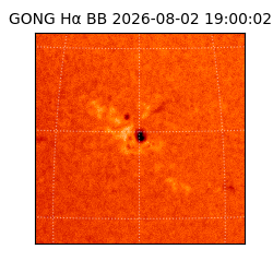 gong - 2026-08-02T19:00:02