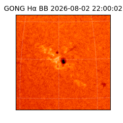 gong - 2026-08-02T22:00:02