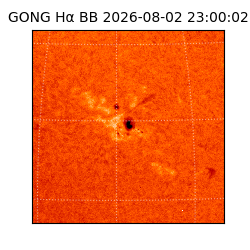 gong - 2026-08-02T23:00:02