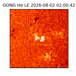 gong - 2026-08-02T02:00:42