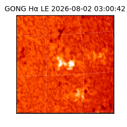 gong - 2026-08-02T03:00:42