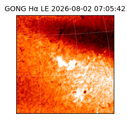gong - 2026-08-02T07:05:42