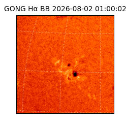 gong - 2026-08-02T01:00:02