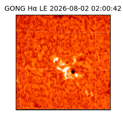 gong - 2026-08-02T02:00:42