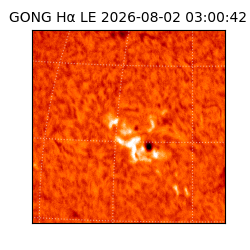 gong - 2026-08-02T03:00:42