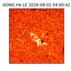 gong - 2026-08-02T04:00:42